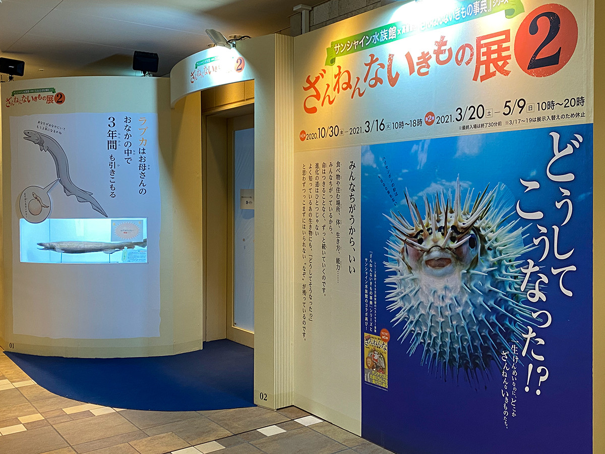 サンシャイン水族館で ざんねんないきもの展２ ニュース アイエム インターネットミュージアム