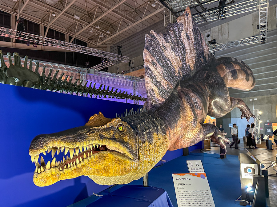 パシフィコ横浜「巨大恐竜展2024」会場