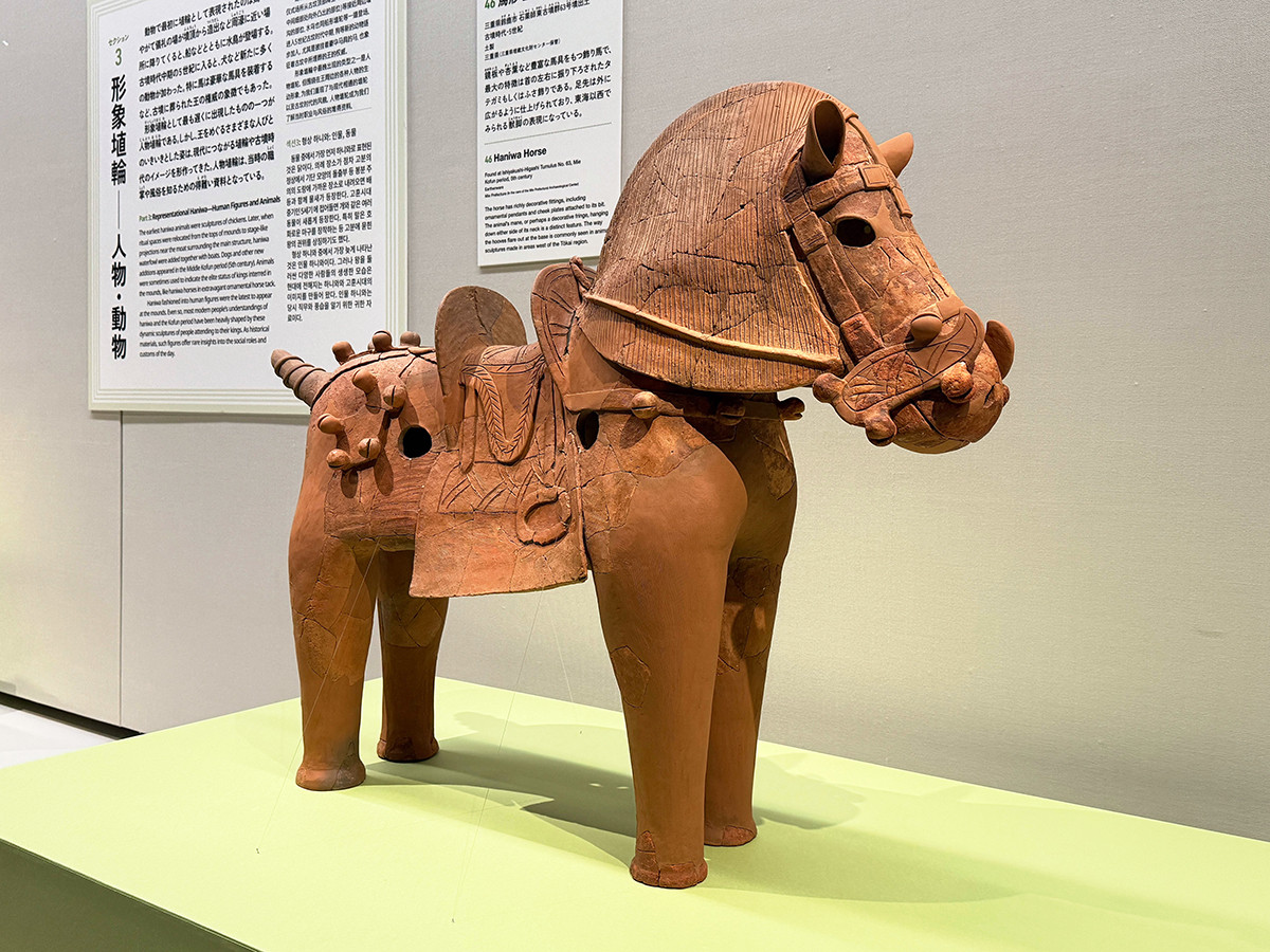 東京国立博物館　特別展「はにわ」会場より　《馬形埴輪》三重県鈴鹿市 石薬師東古墳群63号墳出土　古墳時代・5世紀　三重県（三重県埋蔵文化財センター保管）