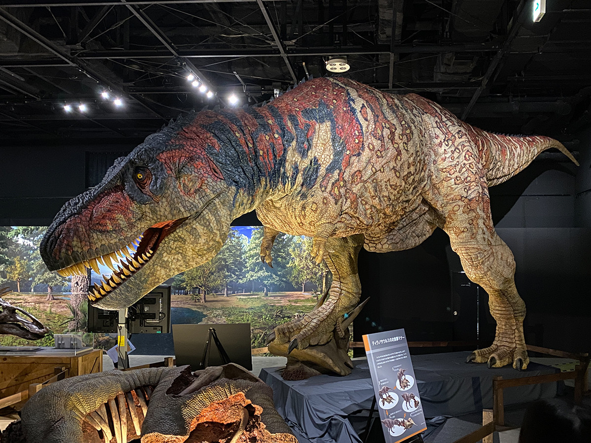 ティラノサウルス実物大ロボットが登場 Gallery moで 恐竜展21 ニュース アイエム インターネットミュージアム