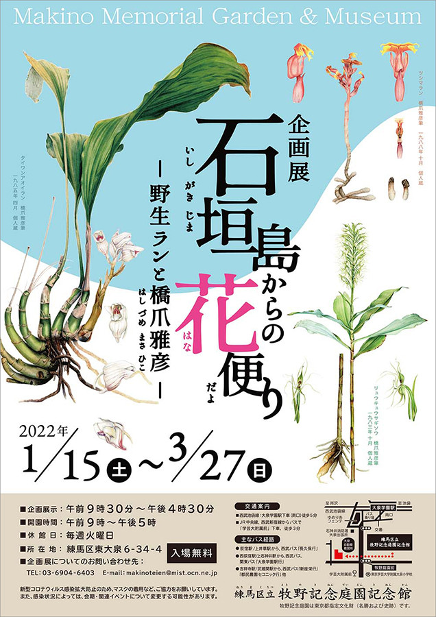 石垣島からの花便り―野生ランと橋爪雅彦ー | 展覧会 | アイエム［インターネットミュージアム］