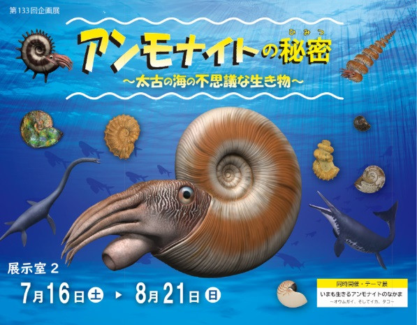 アンモナイトの秘密～太古の海の不思議な生き物～」 | 展覧会