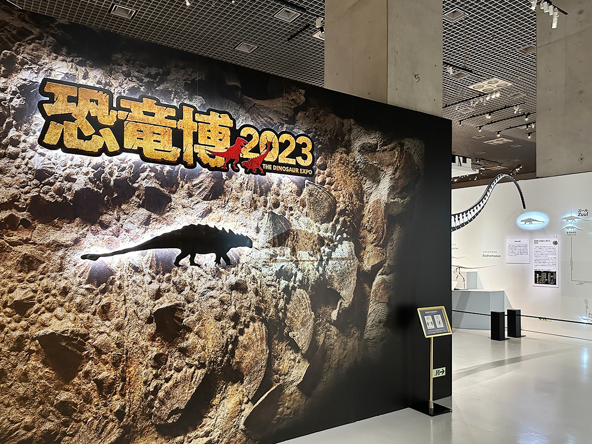 特別展「恐竜博2023」 レポート アイエム[インターネットミュージアム]