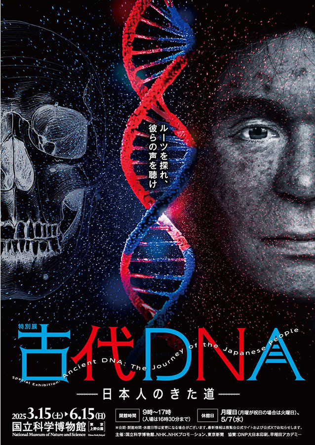 特別展「古代DNA―日本人のきた道―」