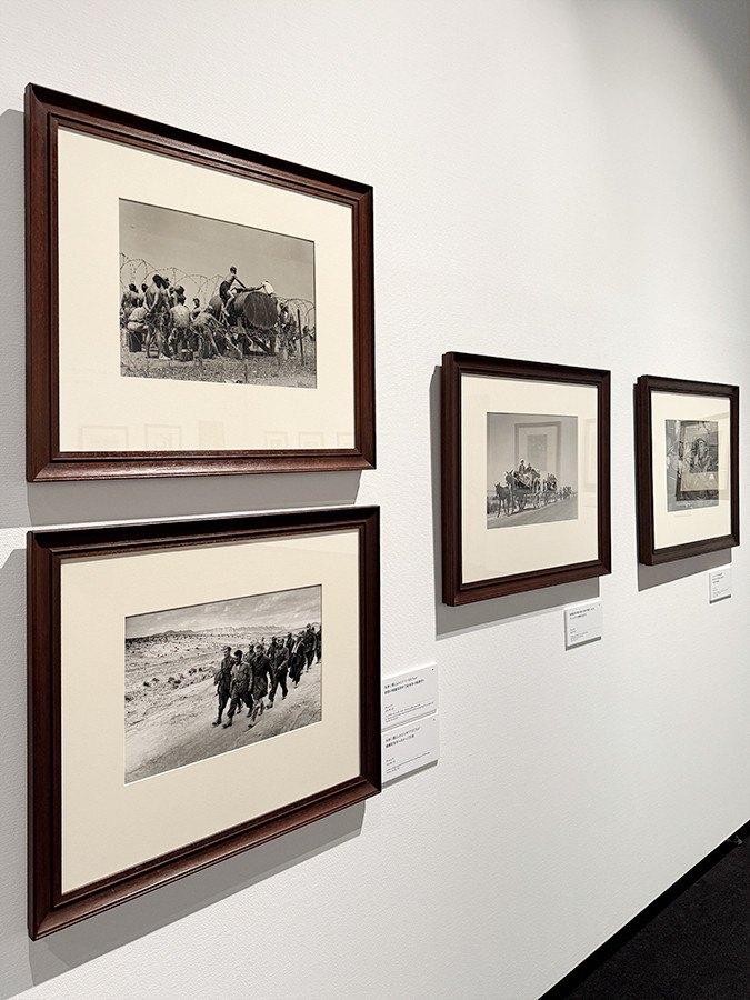 東京都写真美術館「ロバート・キャパ 戦争」会場より　第5章「第二次世界大戦　北アフリカ（1943）」