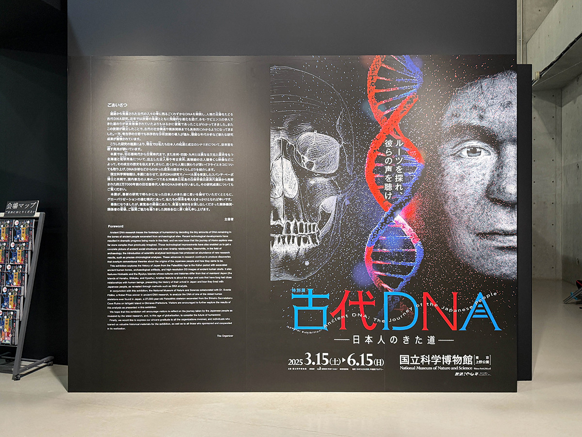 国立科学博物館「古代ＤＮＡ ―日本人のきた道―」会場入口