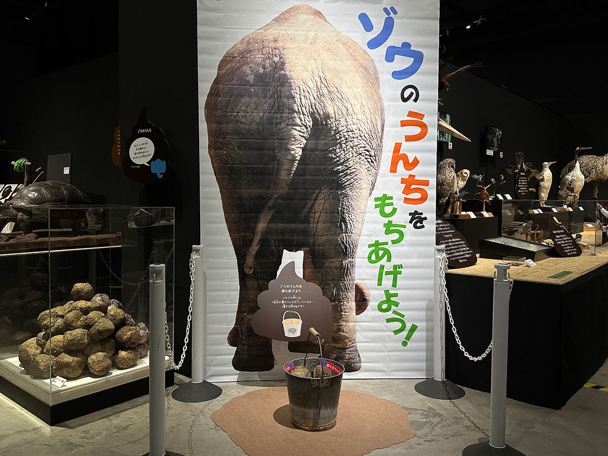 東京ドームシティ Gallery AaM「うんち展 -No UNCHI,No LIFE-」会場