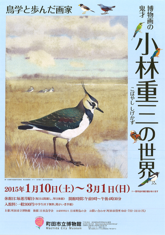 貴重「鳥類原色大圖説全3巻」黒田長禮 小林重三鳥類画を収録昭和8年修