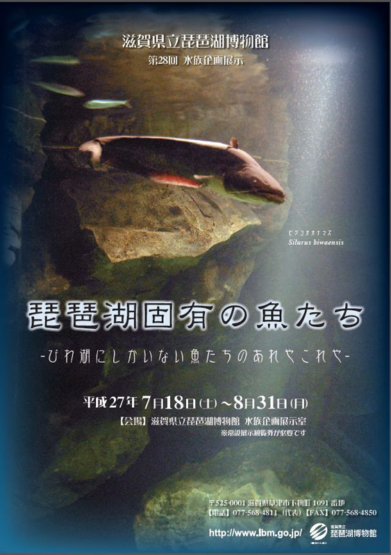 水族企画展示 琵琶湖固有の魚たち 展覧会 アイエム インターネットミュージアム