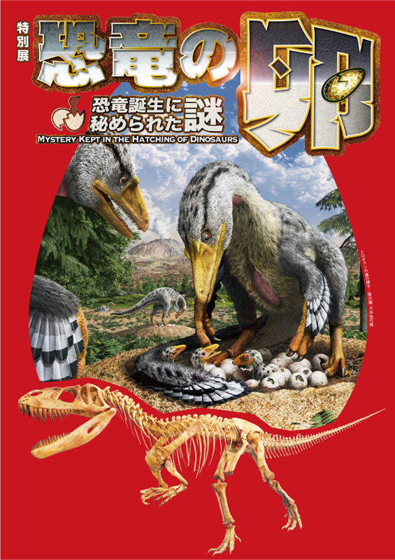 特別展「恐竜の卵 ～恐竜誕生に秘められた謎～」 | 展覧会 | アイエム